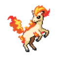 077 Ponyta icon